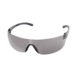 LENTE ZATI MICA IN AND OUT